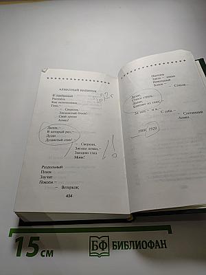 Андрей Белый. Избранное