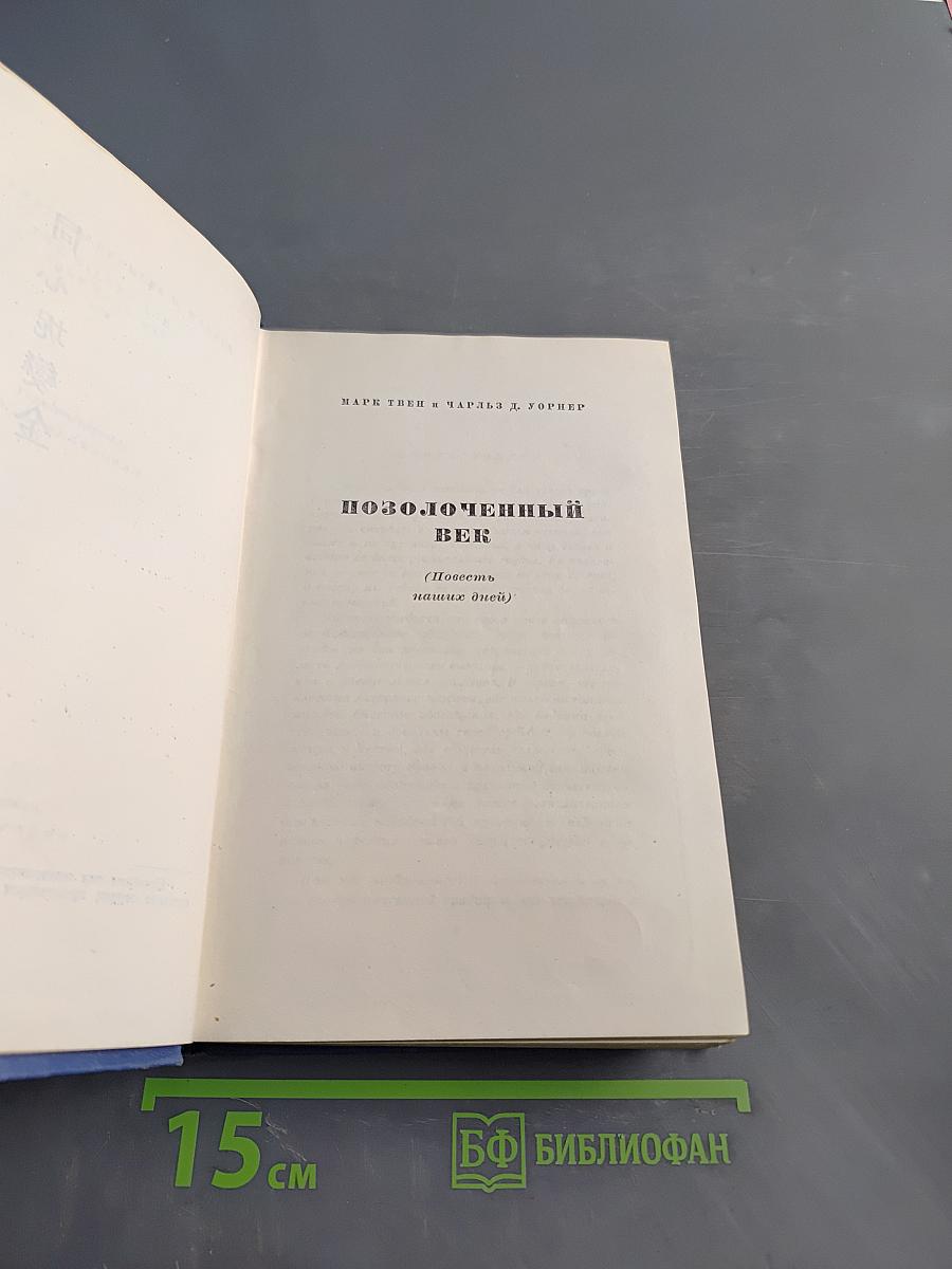 Позолоченный век (Повесть наших дней)