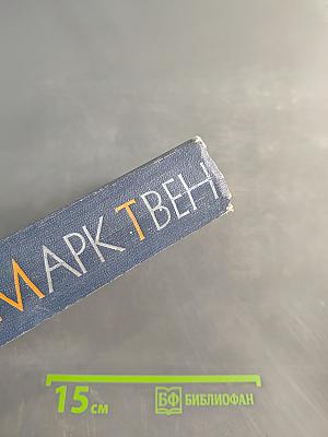 Позолоченный век (Повесть наших дней)