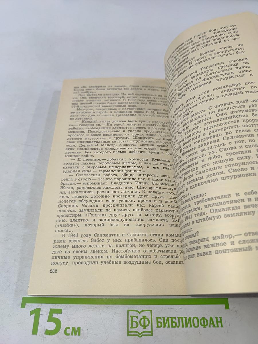 Герои ленинградского неба