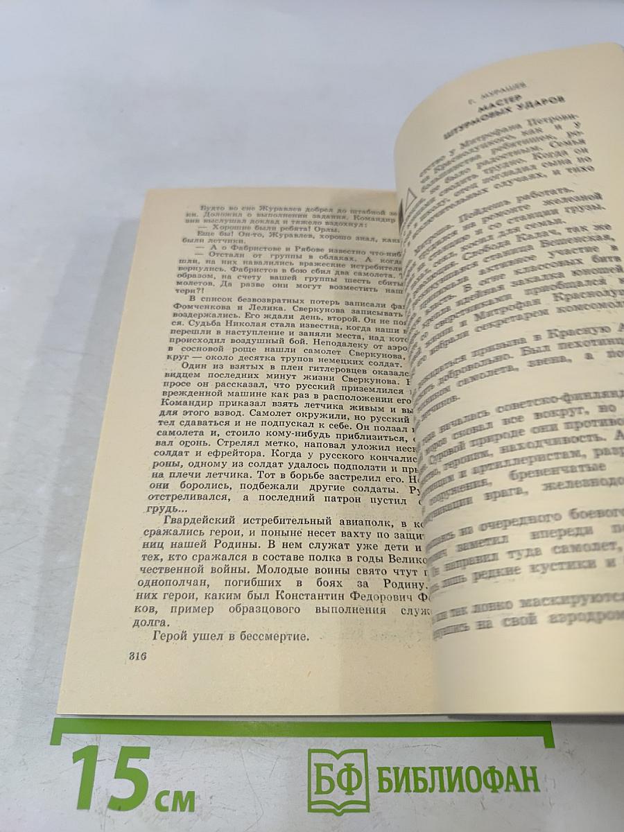 Герои ленинградского неба