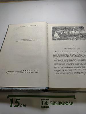 Жизнь Дэвида Копперфилда, рассказанная им самим. Том первый