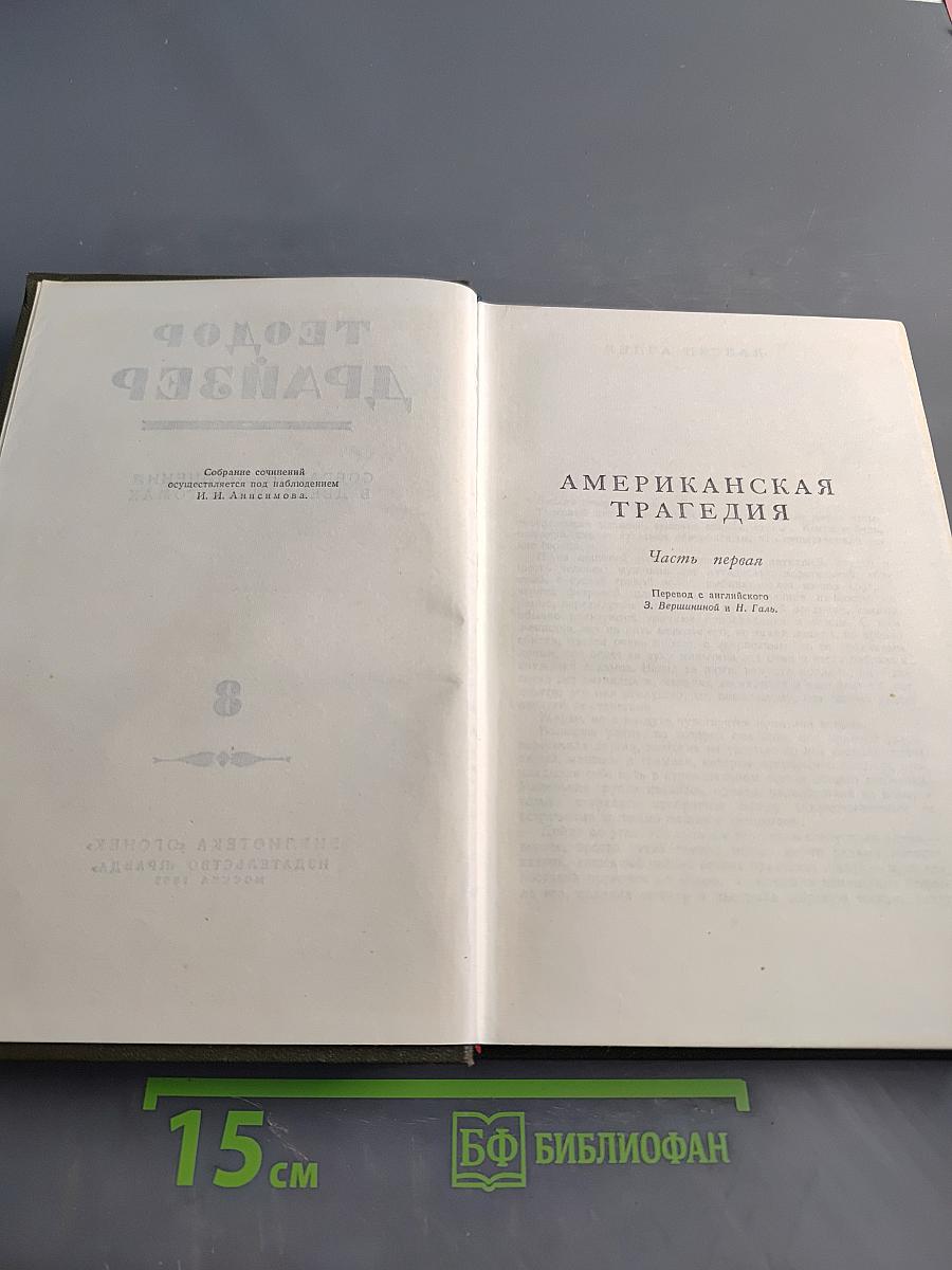 Американская трагедия. Том 8