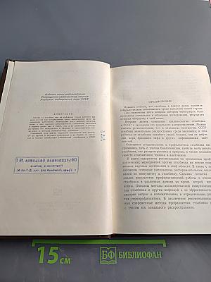 Эпидемиология и профилактика столбняка