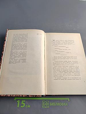 Дневник заключенного. Письма