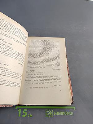 Дневник заключенного. Письма