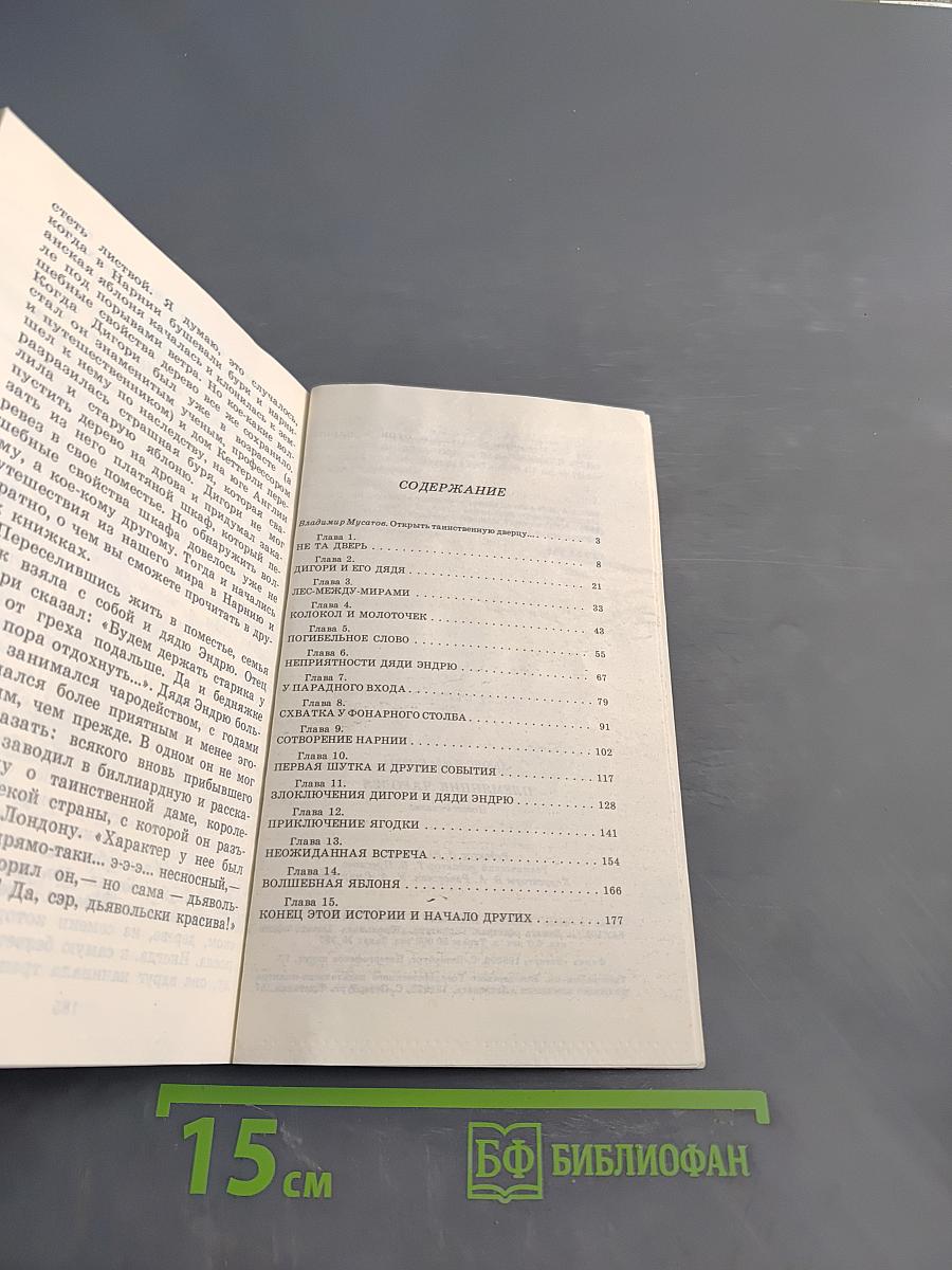 Племянник чародея
