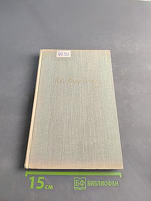 Собрание сочинений в десяти томах. Том шестой. Повести и рассказы 1854-1860
