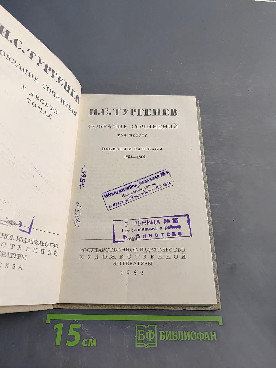 Собрание сочинений в десяти томах. Том шестой. Повести и рассказы 1854-1860