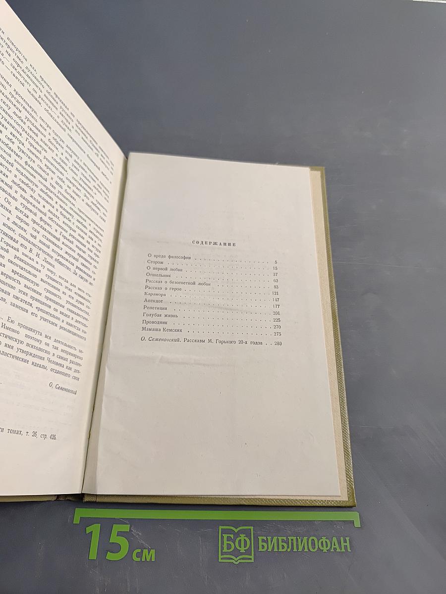 Собрание сочинений в двадцати пяти томах. Том 10
