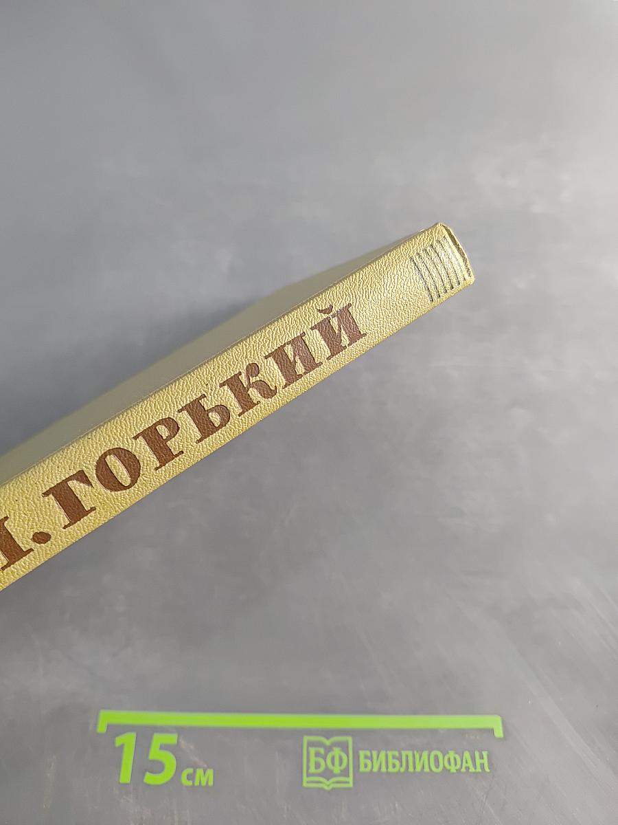 Собрание сочинений в двадцати пяти томах. Том 10