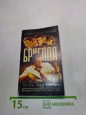 Бригада. Бой без правил. Книга 1