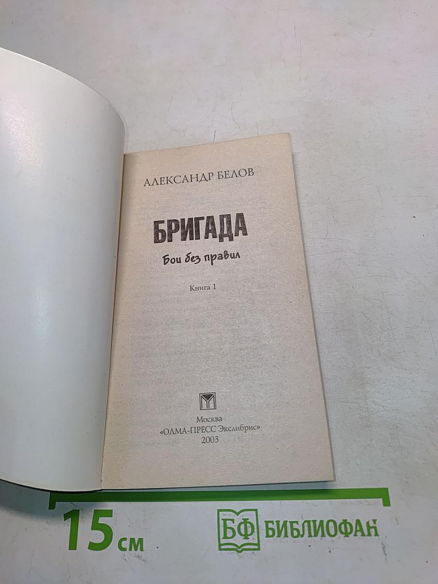 Бригада. Бой без правил. Книга 1