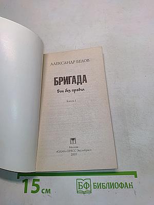 Бригада. Бой без правил. Книга 1