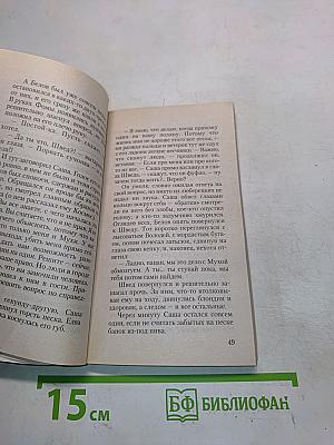 Бригада. Бой без правил. Книга 1