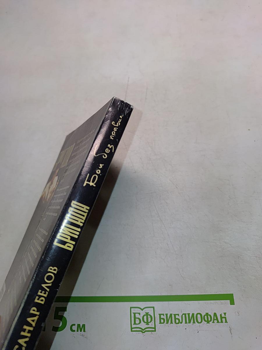 Бригада. Бой без правил. Книга 1