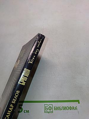 Бригада. Бой без правил. Книга 1