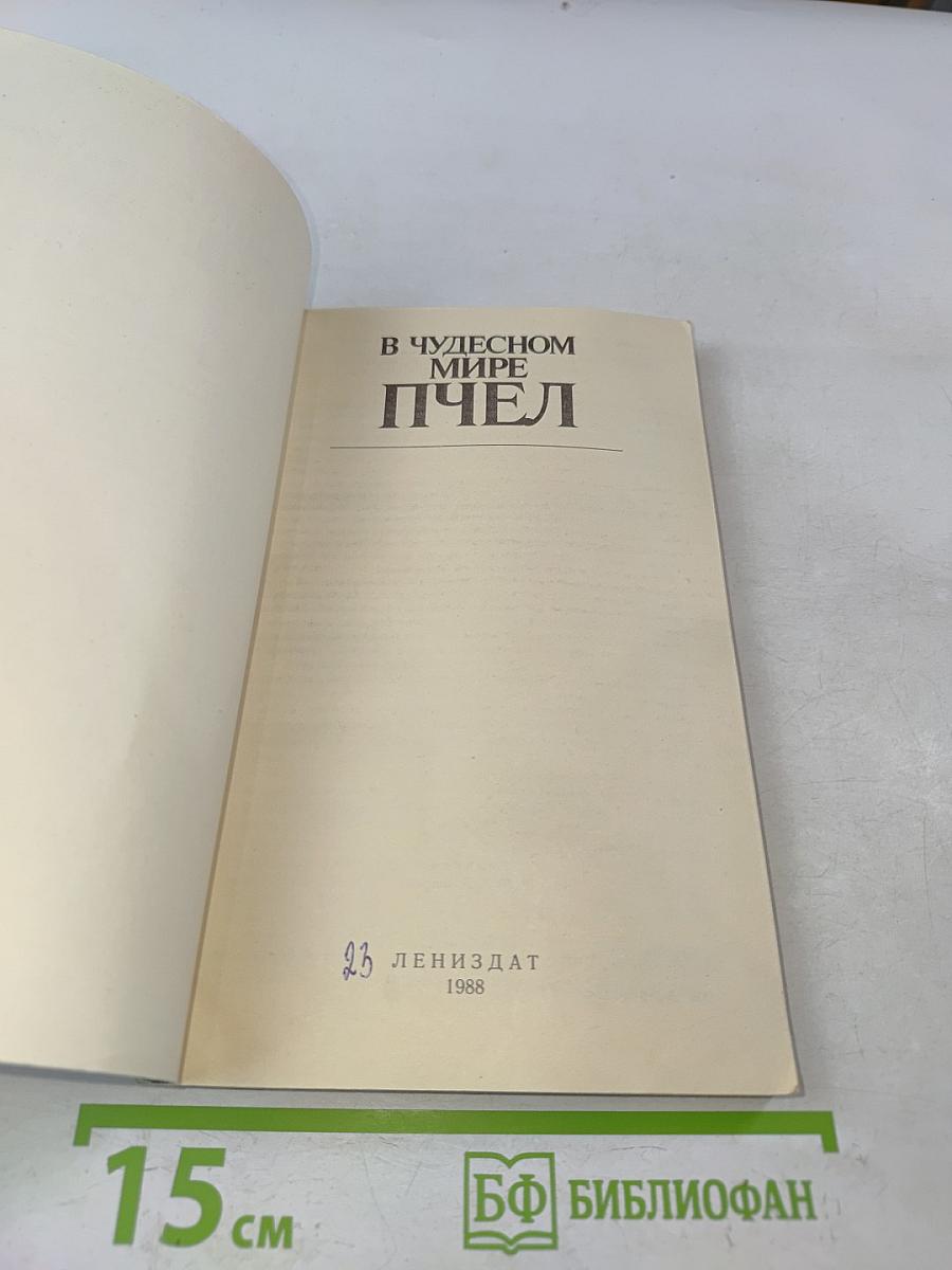 В чудесном мире пчёл