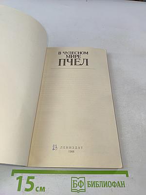 В чудесном мире пчёл