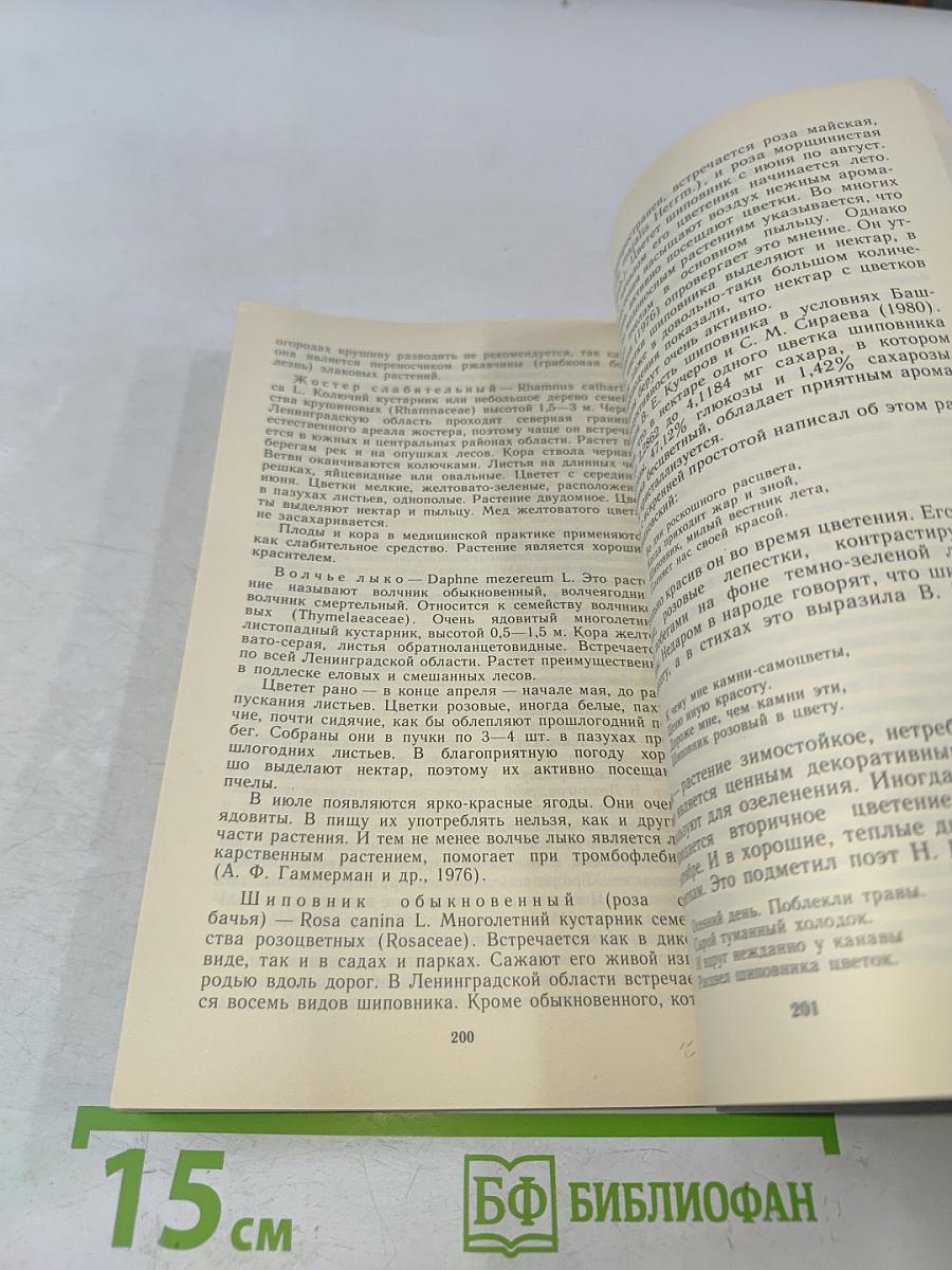 В чудесном мире пчёл