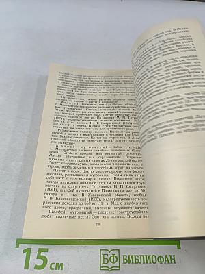 В чудесном мире пчёл