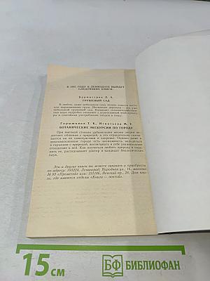 Искусство чайного стола