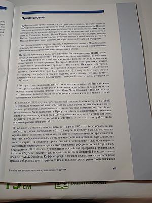 Малая приватизация в Российской Федерации. Нижегородская модель. Пособие для должностных лиц муниципального уровня