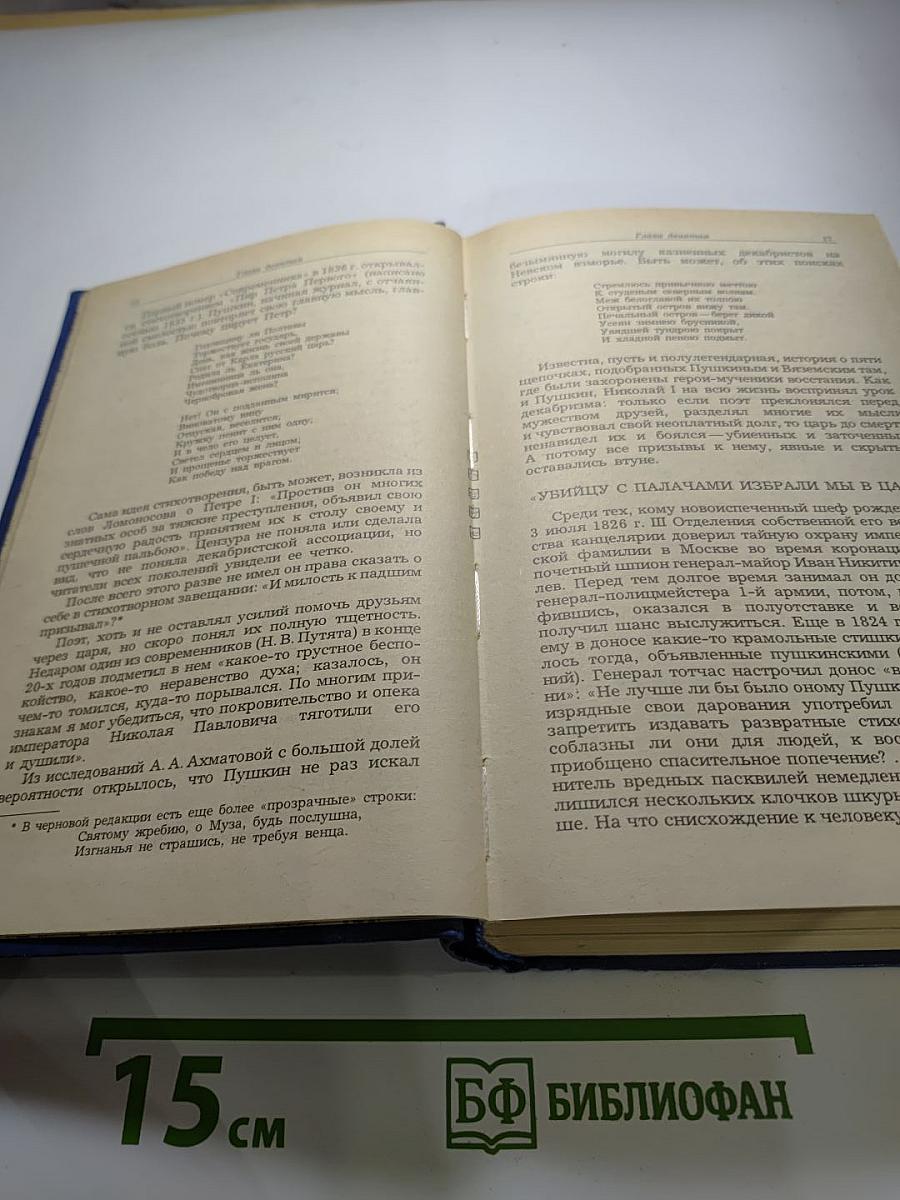 Жизнь Пушкина рассказаная им самим и его современниками. Том второй