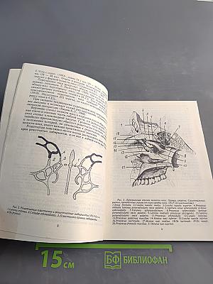 Ринохирургия оптохиазмального арахноидита