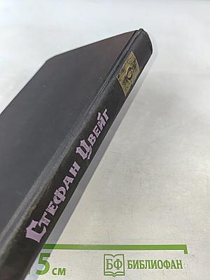Собрание сочинений в семи томах. Том шестой