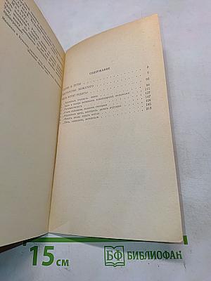 Пионерское лето