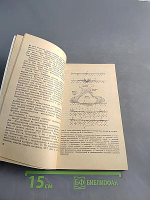 Великие катастрофы в истории Земли