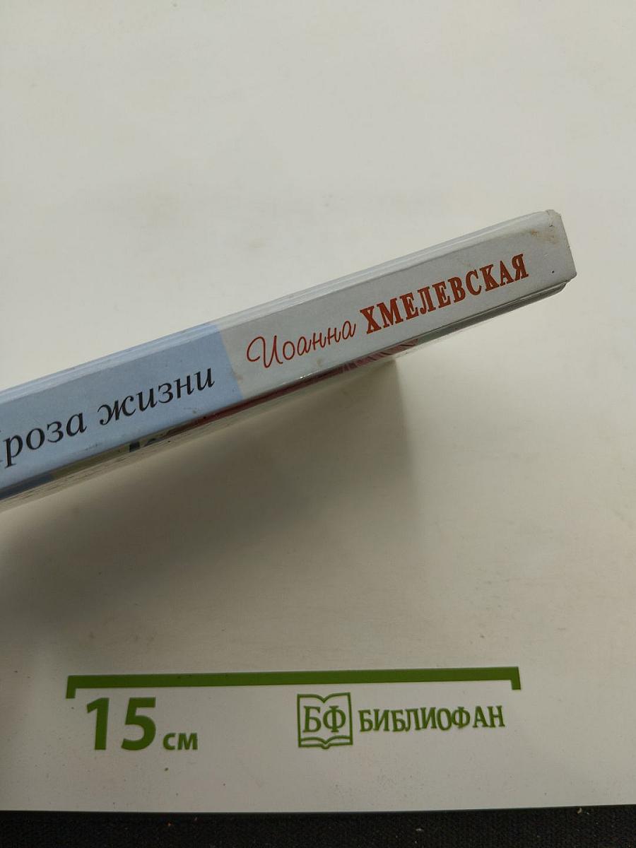 Проза жизни