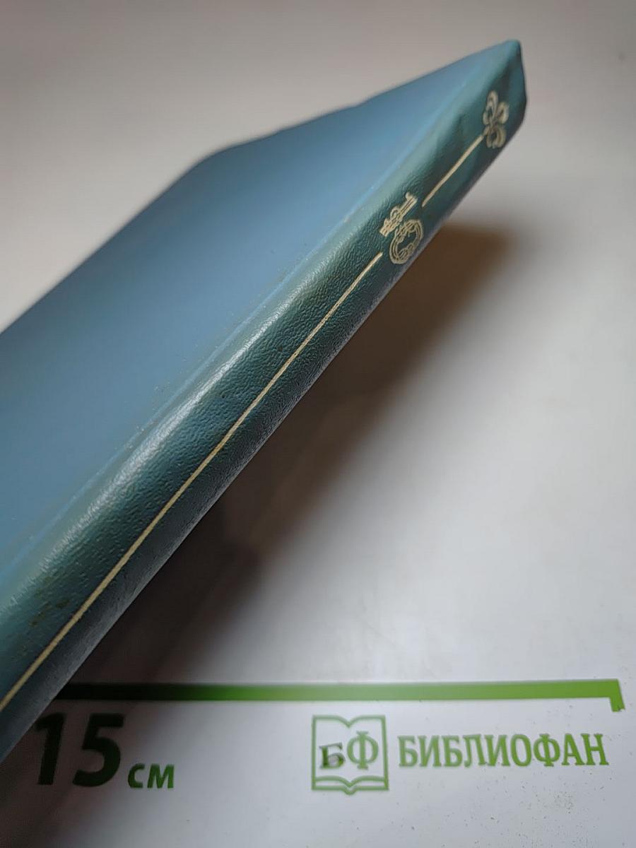 Свидание в Петербурге, или Опять гардемарины