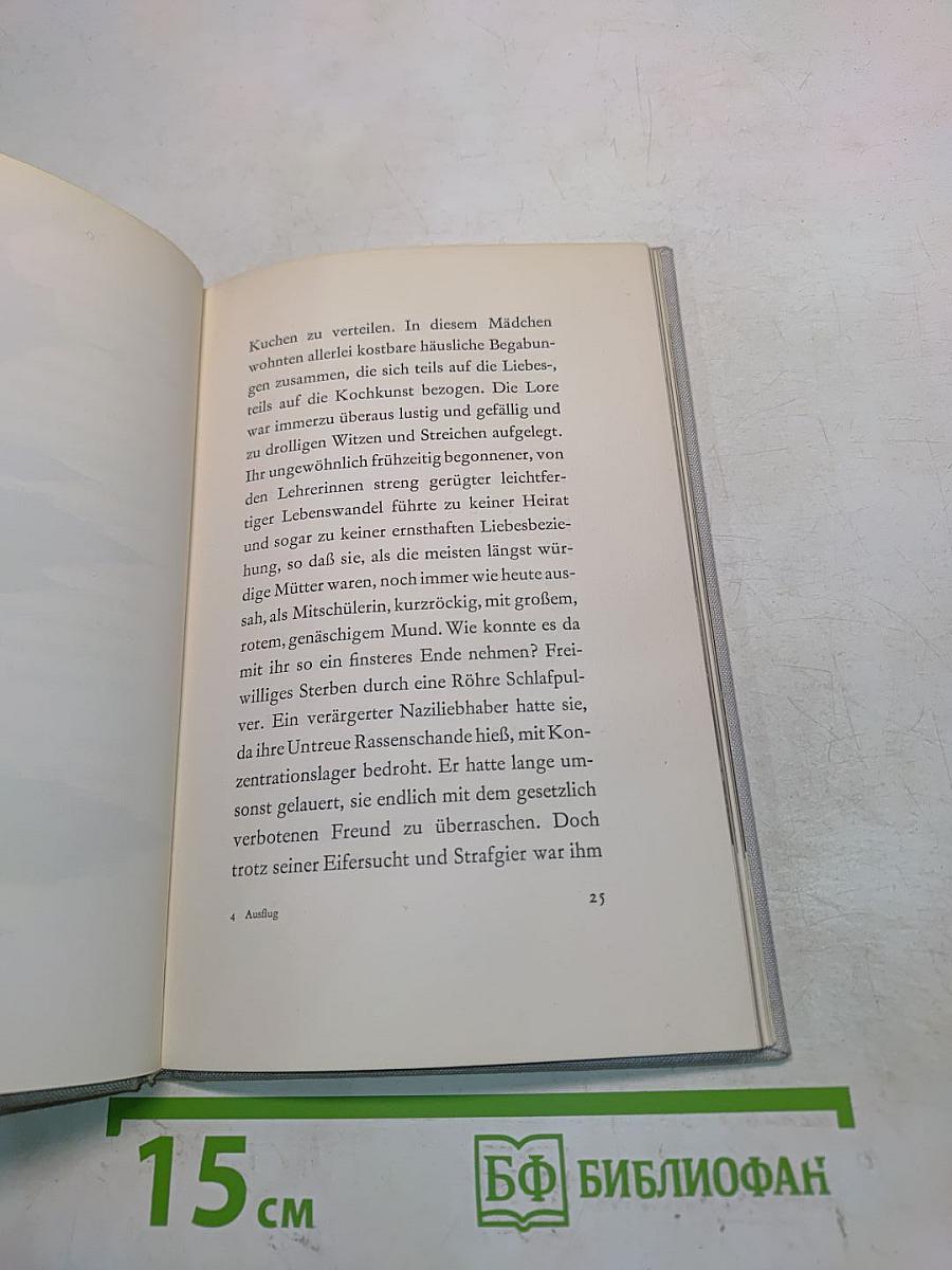 Der Ausflug der toten Mädchen