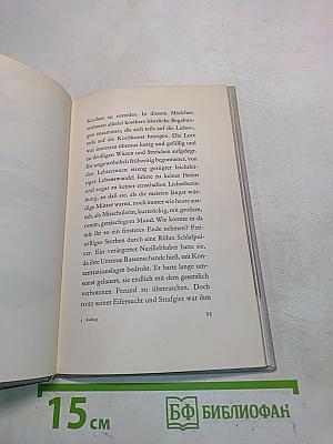 Der Ausflug der toten Mädchen