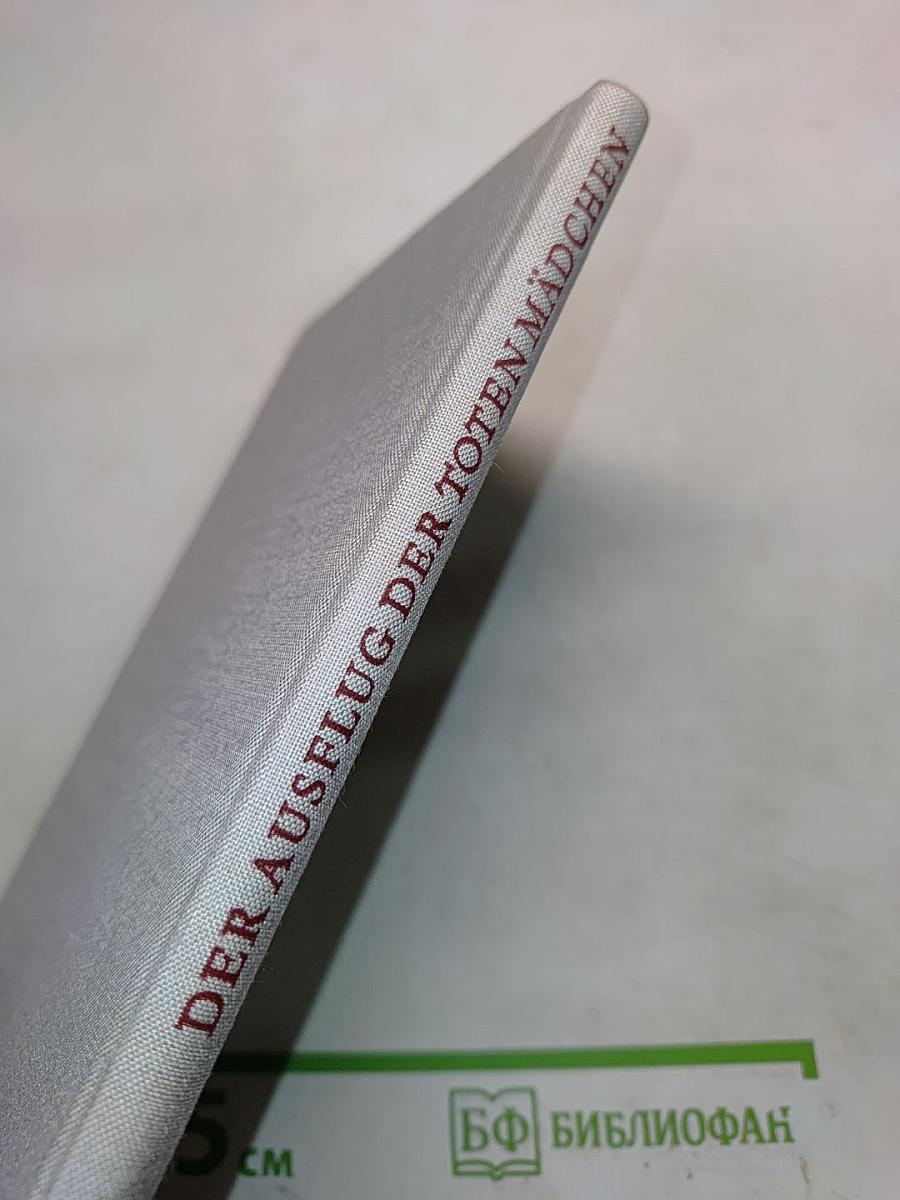 Der Ausflug der toten Mädchen