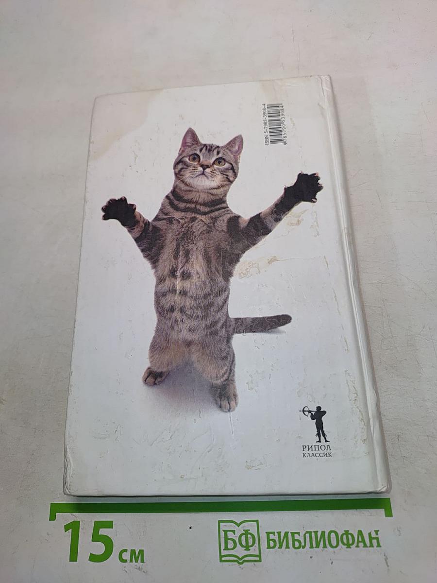Что хочет ваша кошка