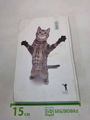 Что хочет ваша кошка