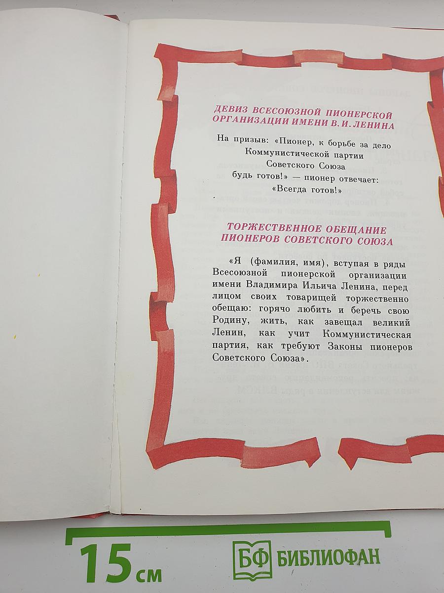 Салют, Пионерия!