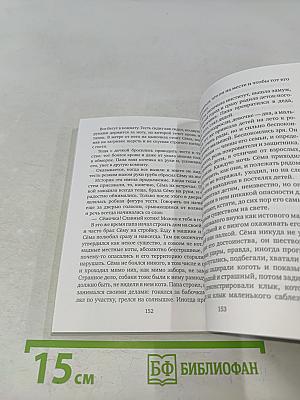 Попутчики
