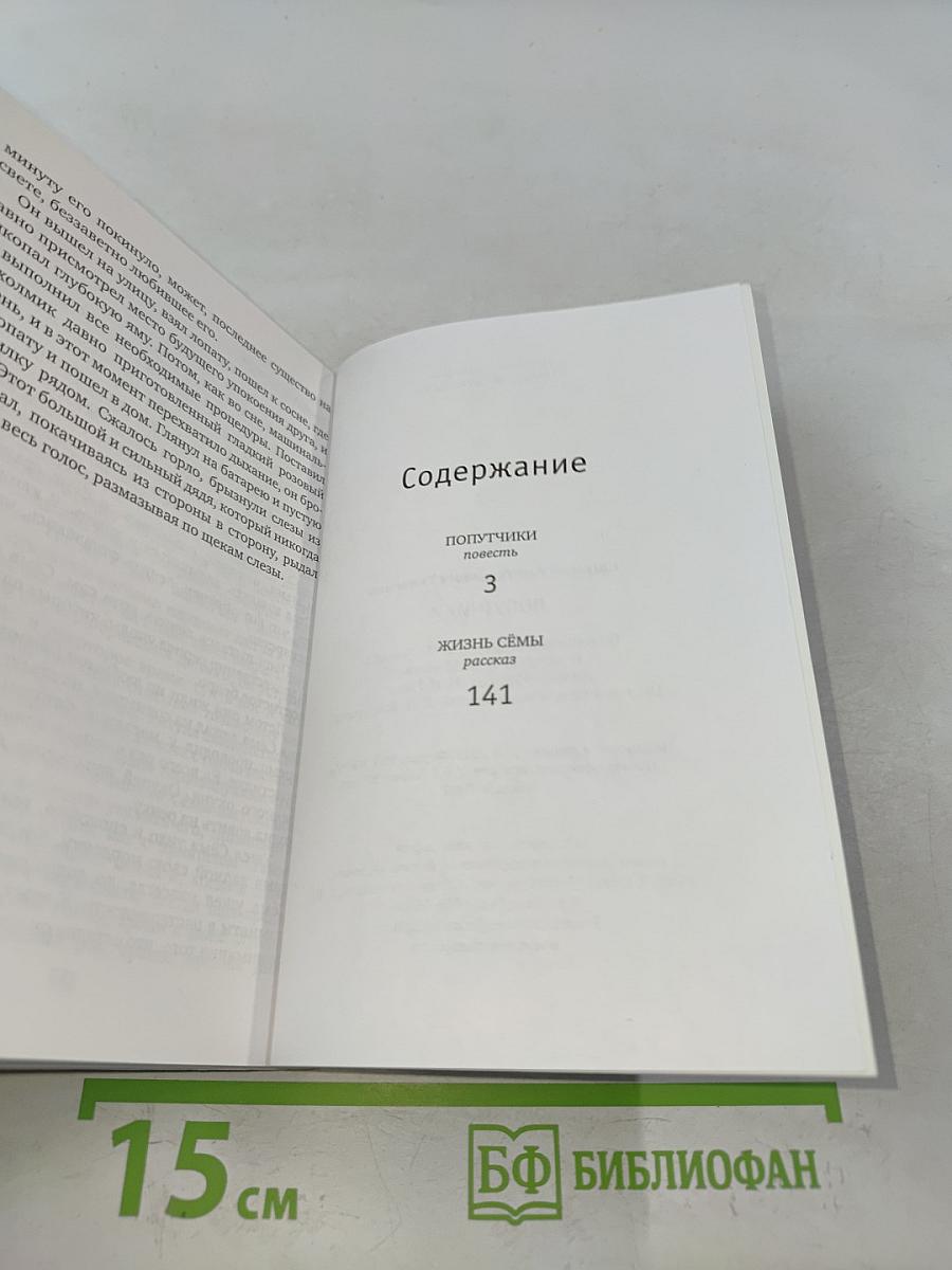 Попутчики