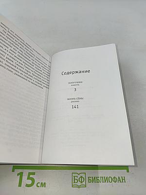 Попутчики