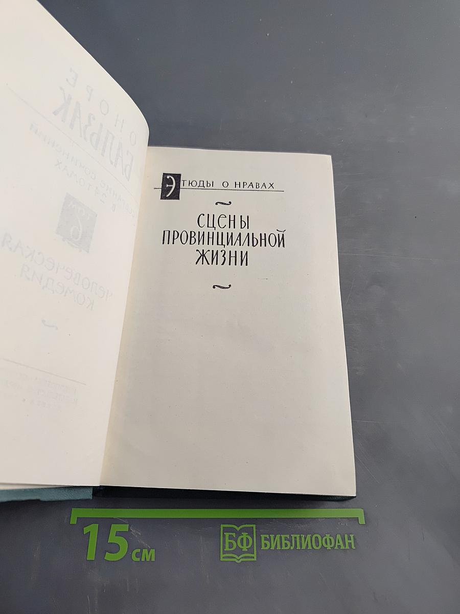 Сцены провинциальной жизни