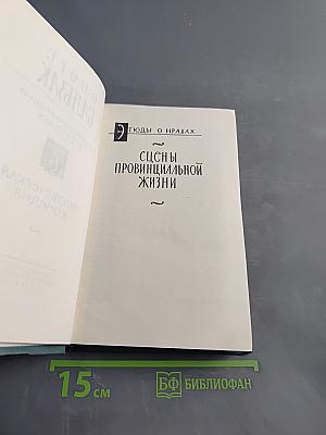 Сцены провинциальной жизни