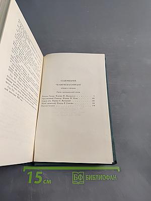 Сцены провинциальной жизни