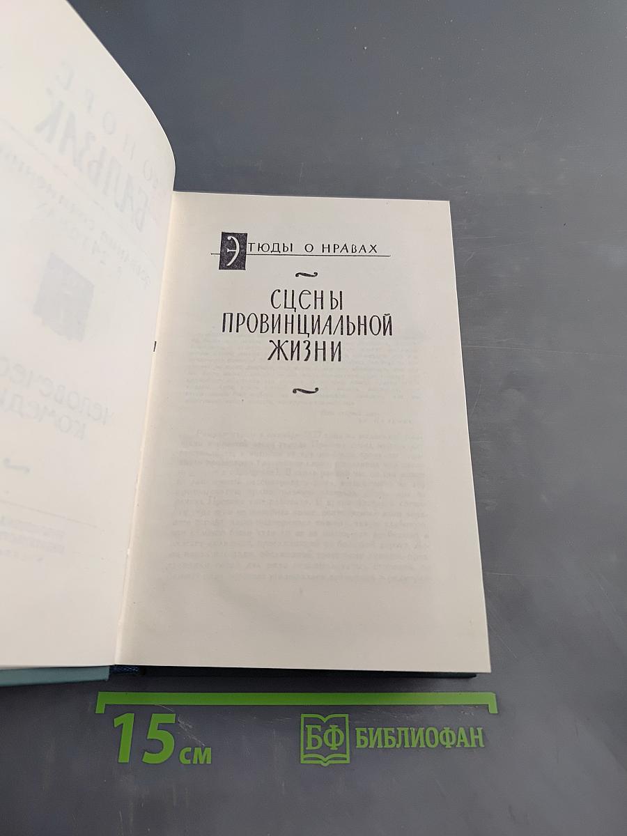Человеческая комедия. Сцены провинциальной жизни