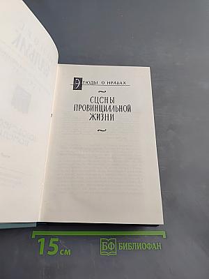 Человеческая комедия. Сцены провинциальной жизни