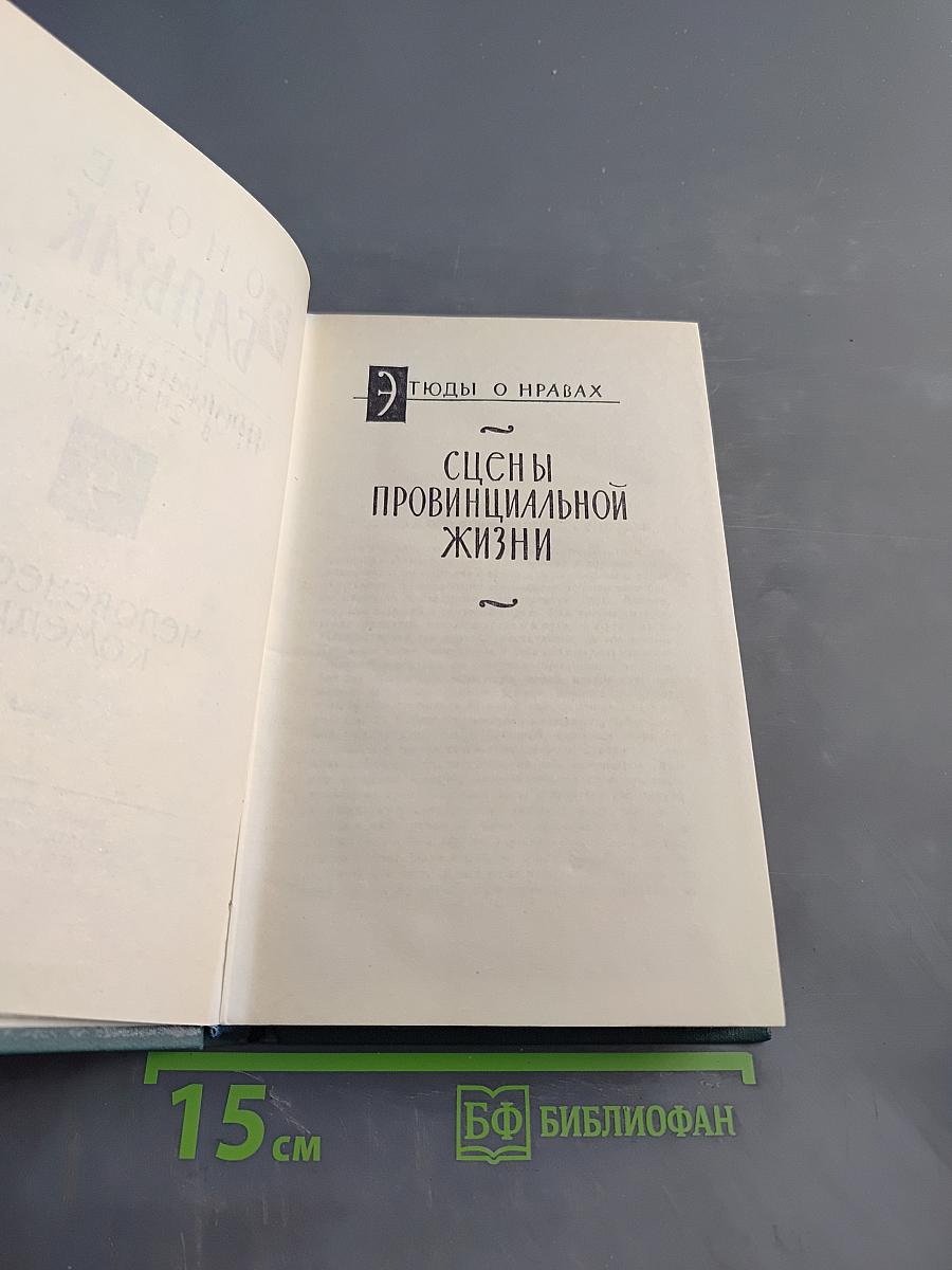 Человеческая комедия. Собрание сочинений в 24 томах. Том 9