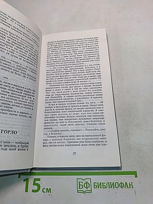Записки на манжетах